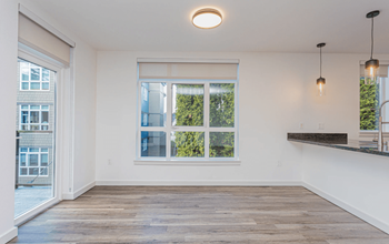 Dual-pane windows with expansive views